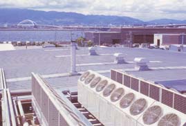 協同食品センター その1